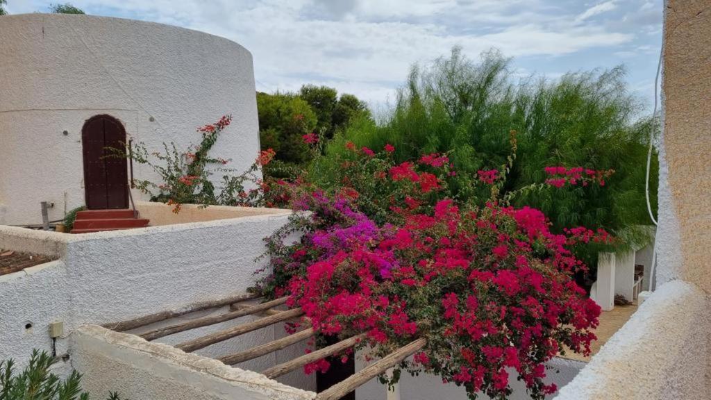 Casas Rurales Cortijo Torreblanca Parque Cabo De Gata El Pozo de los Frailes Extérieur photo