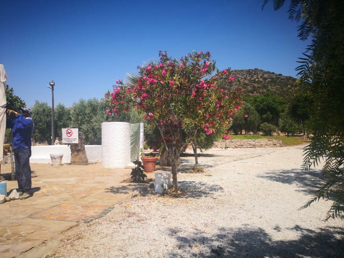 Casas Rurales Cortijo Torreblanca Parque Cabo De Gata El Pozo de los Frailes Extérieur photo