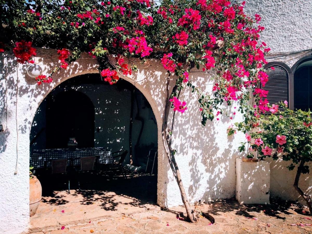 Casas Rurales Cortijo Torreblanca Parque Cabo De Gata El Pozo de los Frailes Extérieur photo